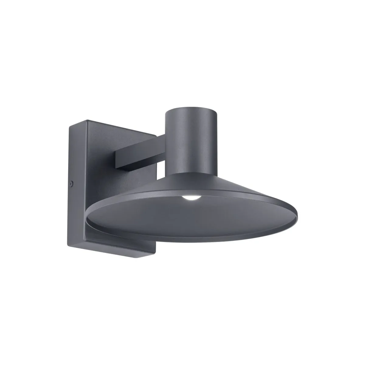 Ash 10 In. LED Lo-Output Outdoor Wall Sconce 381 Lumens 2700K Surge Protection Gray Finish Clear Lens